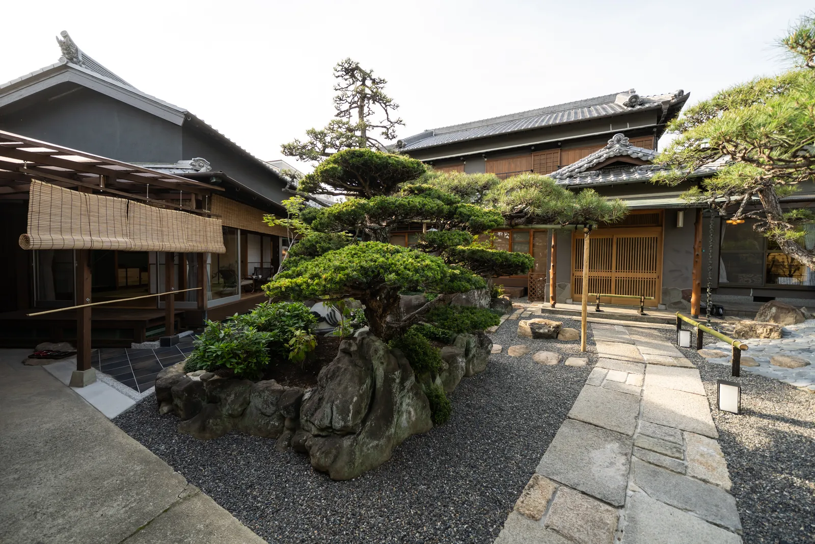 朝の日本庭園。手入れされた松と石組、飛び石の路の先に母屋の玄関